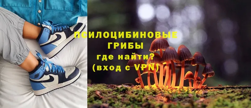 Галлюциногенные грибы MAGIC MUSHROOMS  Богородицк 